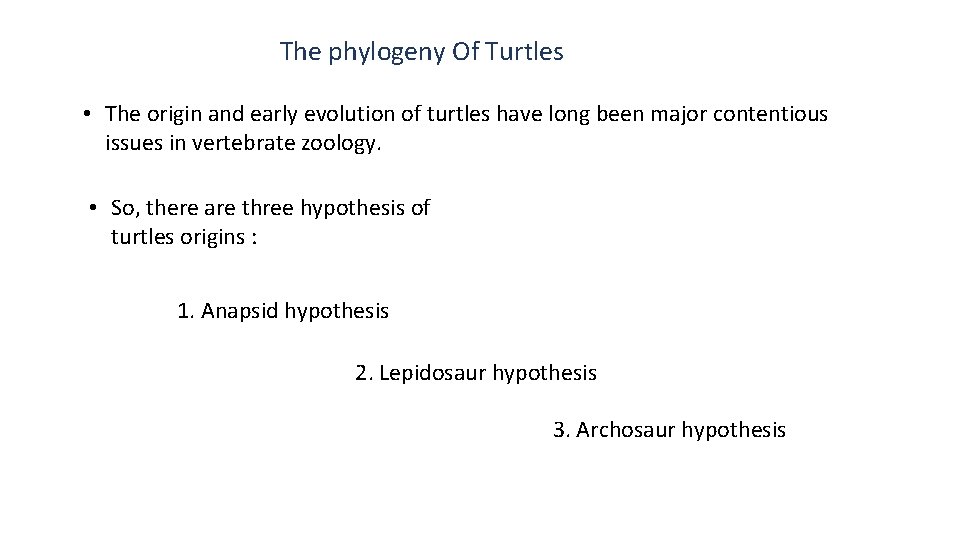 The phylogeny Of Turtles • The origin and early evolution of turtles have long