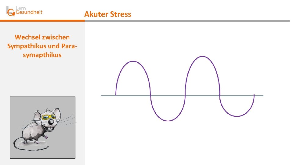 Akuter Stress Wechsel zwischen Sympathikus und Parasymapthikus 