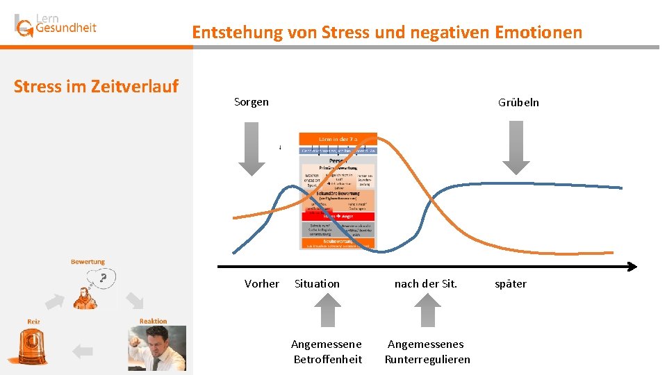 Entstehung von Stress und negativen Emotionen Stress im Zeitverlauf Sorgen Vorher Grübeln Situation Angemessene