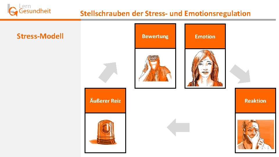 Stellschrauben der Stress- und Emotionsregulation Stress-Modell Bewertung Äußerer Reiz Emotion Reaktion 