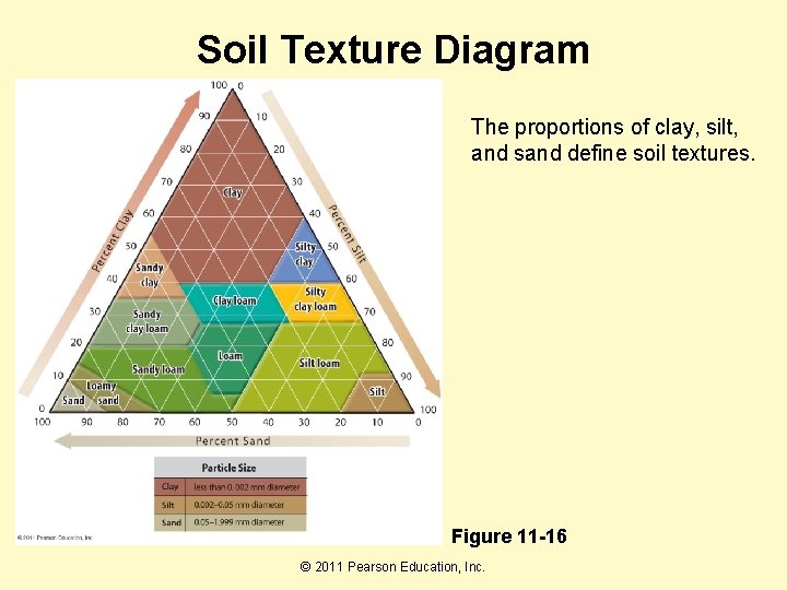 Soil Texture Diagram The proportions of clay, silt, and sand define soil textures. Figure