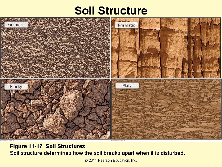 Soil Structure Figure 11 -17 Soil Structures Soil structure determines how the soil breaks