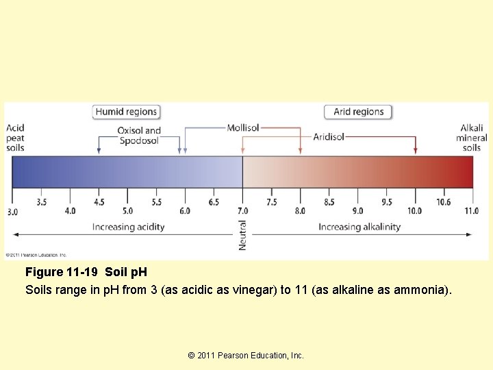 Figure 11 -19 Soil p. H Soils range in p. H from 3 (as