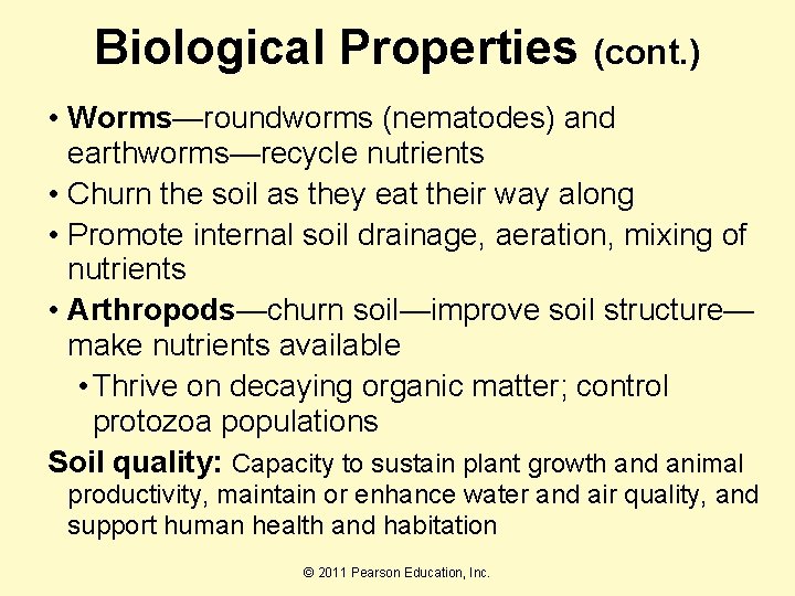 Biological Properties (cont. ) • Worms—roundworms (nematodes) and earthworms—recycle nutrients • Churn the soil