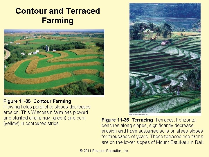 Contour and Terraced Farming Figure 11 -35 Contour Farming Plowing fields parallel to slopes
