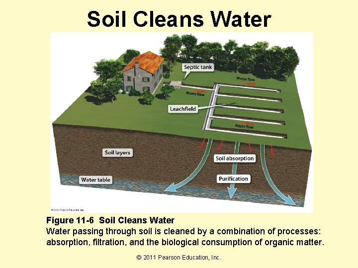 Soil Cleans Water Figure 11 -6 Soil Cleans Water passing through soil is cleaned