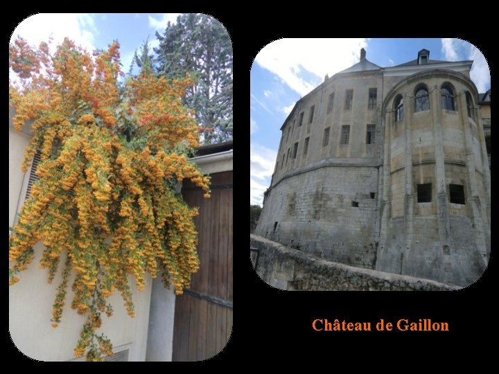 Château de Gaillon 