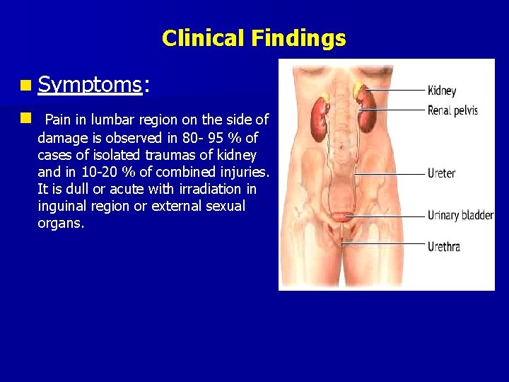 Clinical Findings n Symptoms: n Pain in lumbar region on the side of damage