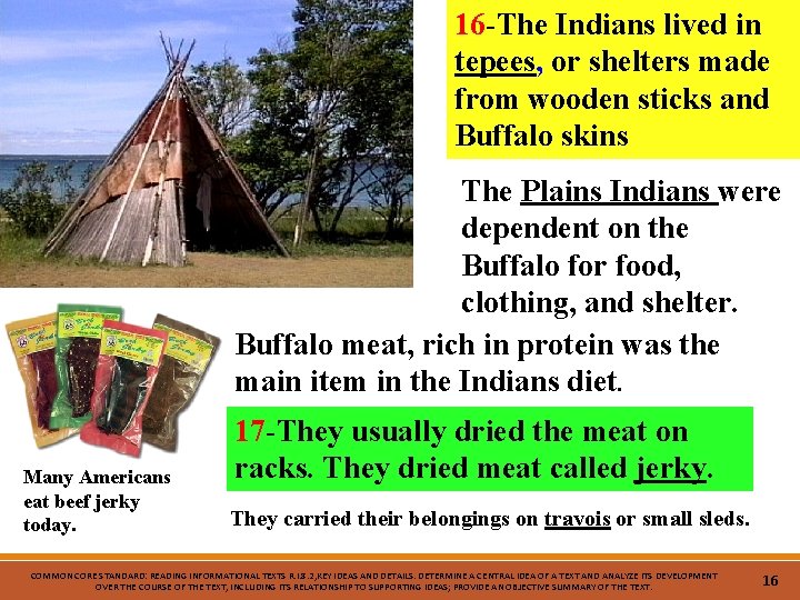 16 -The Indians lived in tepees, or shelters made from wooden sticks and Buffalo