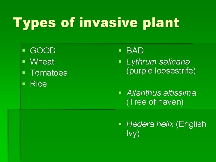 Types of invasive plant § § GOOD Wheat Tomatoes Rice § BAD § Lythrum