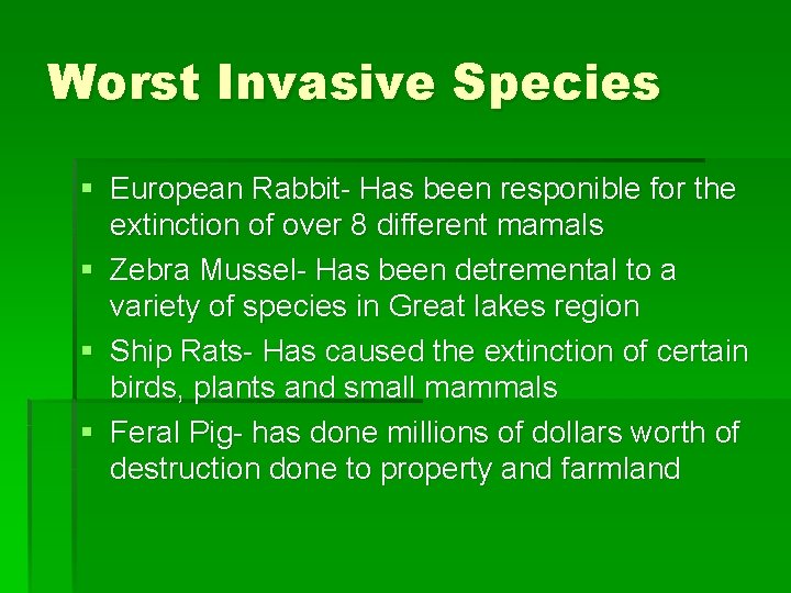 Worst Invasive Species § European Rabbit- Has been responible for the extinction of over