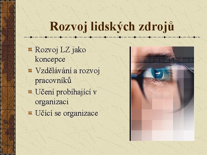 Rozvoj lidských zdrojů Rozvoj LZ jako koncepce Vzdělávání a rozvoj pracovníků Učení probíhající v