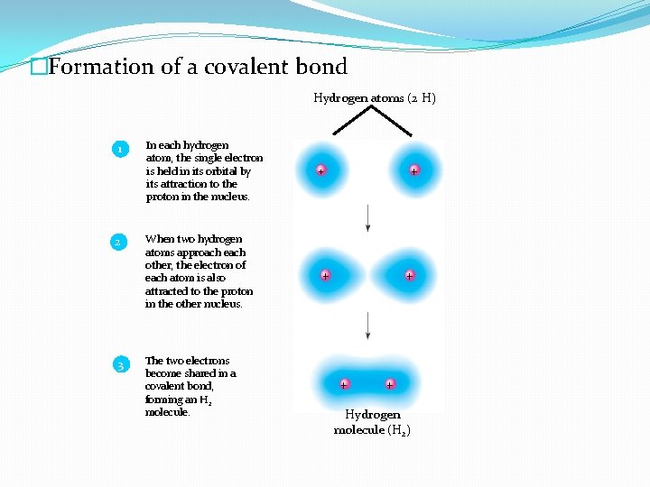 �Formation of a covalent bond Hydrogen atoms (2 H) 1 2 3 In each