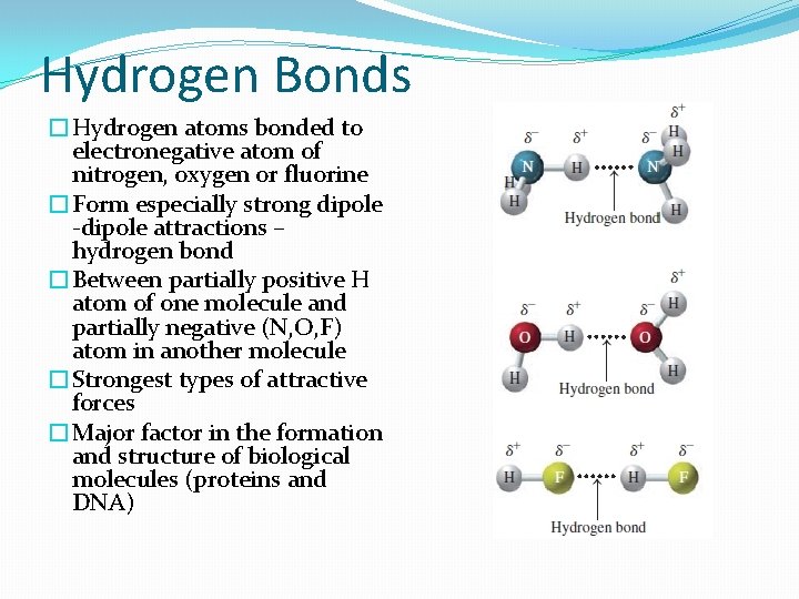 Hydrogen Bonds �Hydrogen atoms bonded to electronegative atom of nitrogen, oxygen or fluorine �Form
