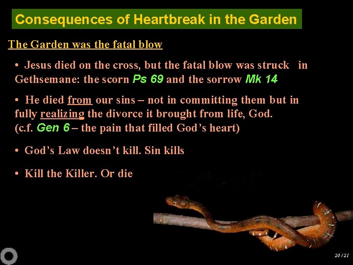 Consequences of Heartbreak in the Garden The Garden was the fatal blow • Jesus