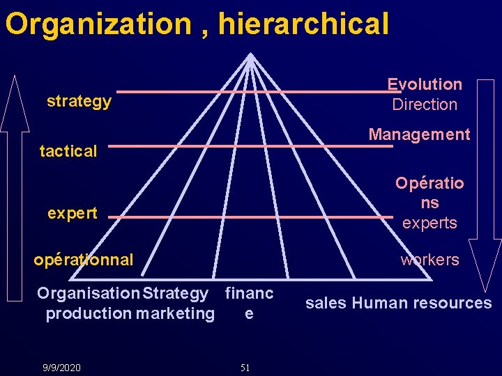 Organization , hierarchical Evolution Direction strategy Management tactical Opératio ns expert opérationnal workers Organisation