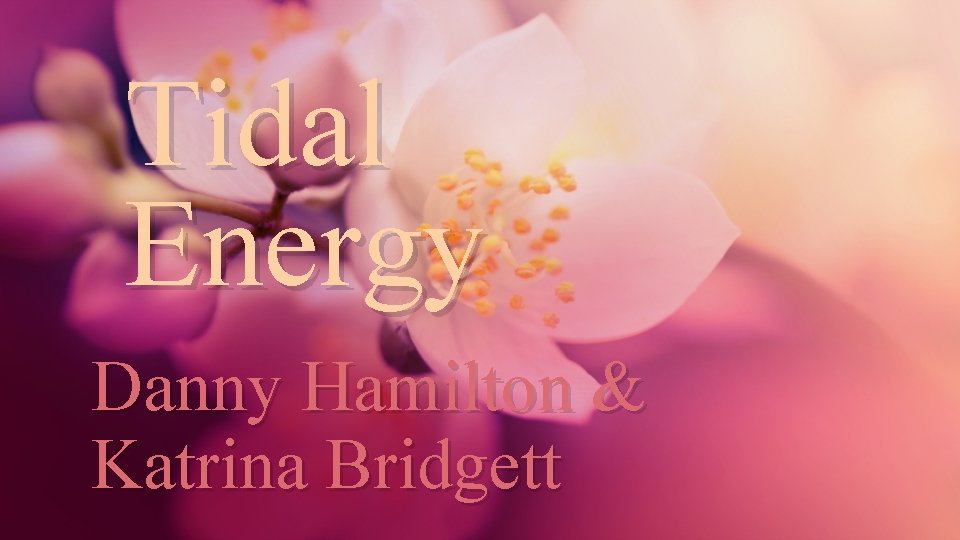 Tidal Energy Danny Hamilton & Katrina Bridgett 