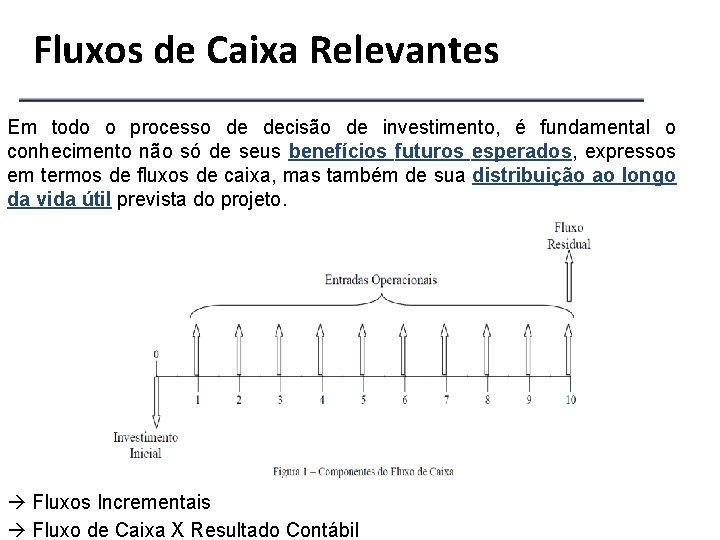 Fluxos de Caixa Relevantes Em todo o processo de decisão de investimento, é fundamental