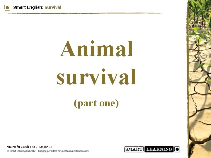 Smart English: Survival Animal survival (part one) Aiming for Levels 5 to 7, Lesson