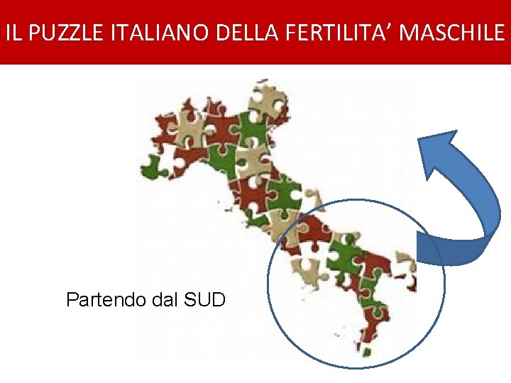 IL PUZZLE ITALIANO DELLA FERTILITA’ MASCHILE Partendo dal SUD 