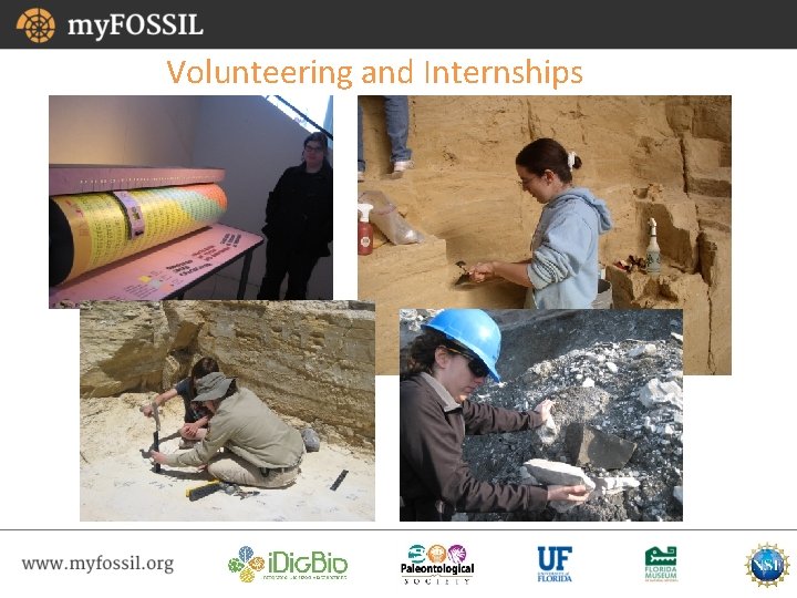 Volunteering and Internships 