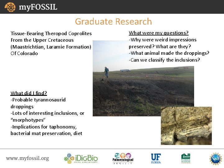 Graduate Research Tissue-Bearing Theropod Coprolites From the Upper Cretaceous (Maastrichtian, Laramie Formation) Of Colorado