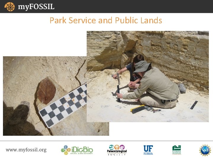 Park Service and Public Lands 