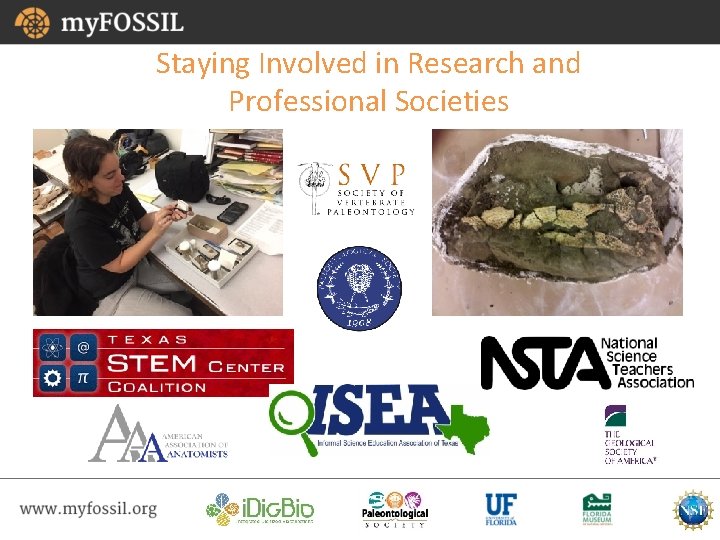 Staying Involved in Research and Professional Societies 