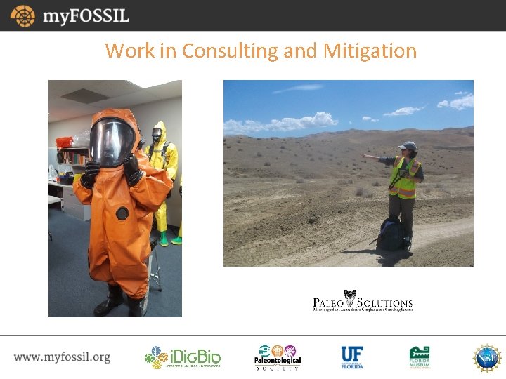 Work in Consulting and Mitigation 