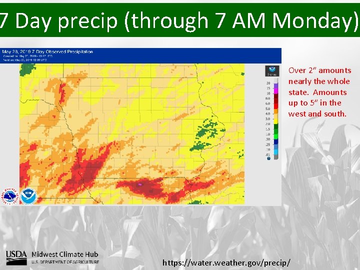 7 Day precip (through 7 AM Monday) Over 2” amounts nearly the whole state.