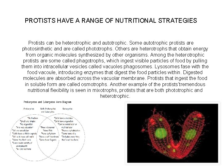 PROTISTS HAVE A RANGE OF NUTRITIONAL STRATEGIES Protists can be heterotrophic and autotrophic. Some