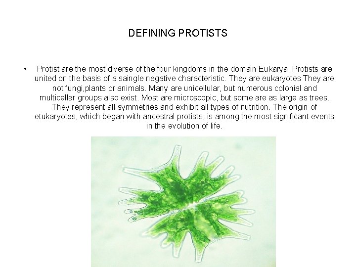 DEFINING PROTISTS • Protist are the most diverse of the four kingdoms in the