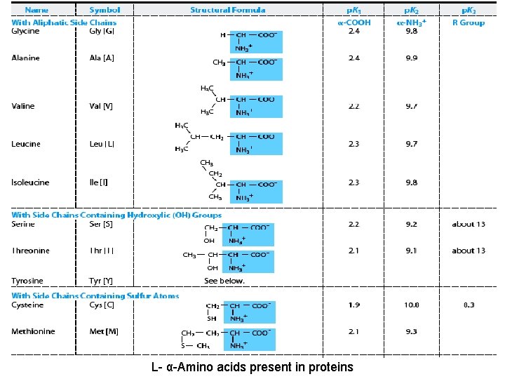 L- α-Amino acids present in proteins 