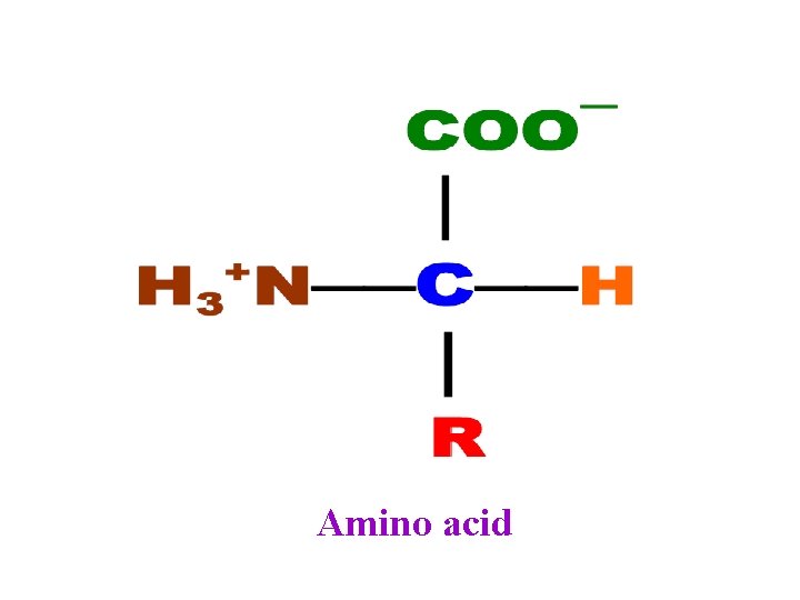 Amino acid 
