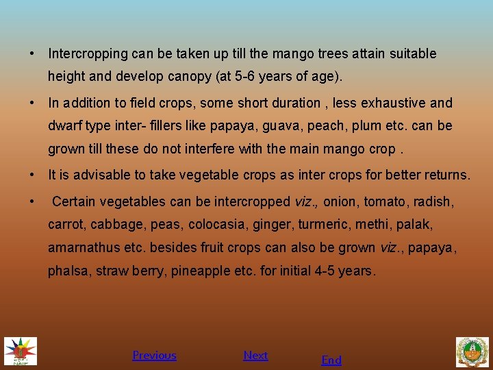  • Intercropping can be taken up till the mango trees attain suitable height