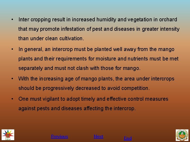  • Inter cropping result in increased humidity and vegetation in orchard that may