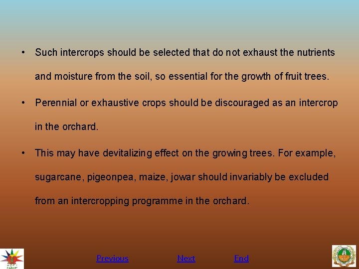  • Such intercrops should be selected that do not exhaust the nutrients and