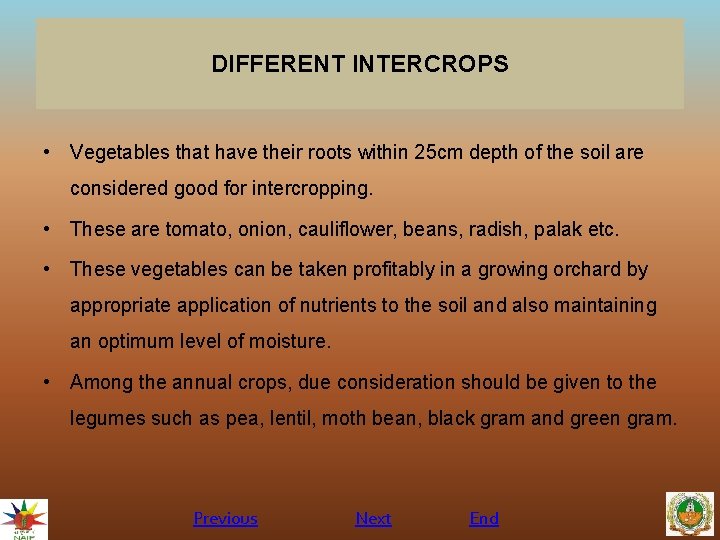 DIFFERENT INTERCROPS • Vegetables that have their roots within 25 cm depth of the