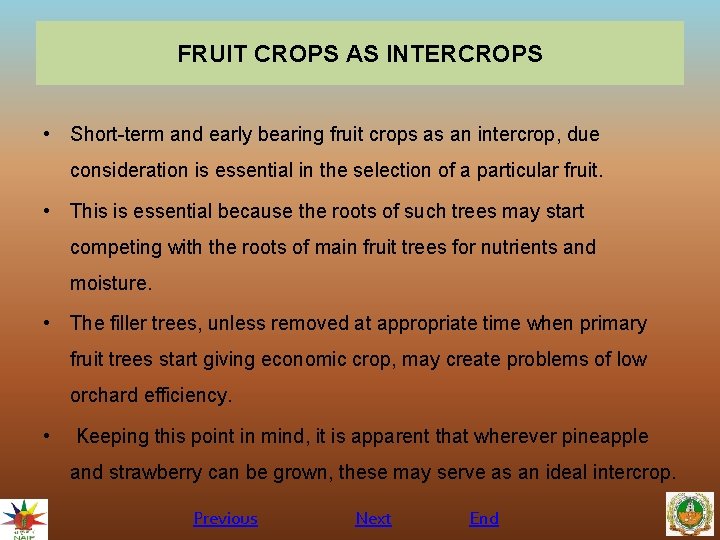 FRUIT CROPS AS INTERCROPS • Short-term and early bearing fruit crops as an intercrop,