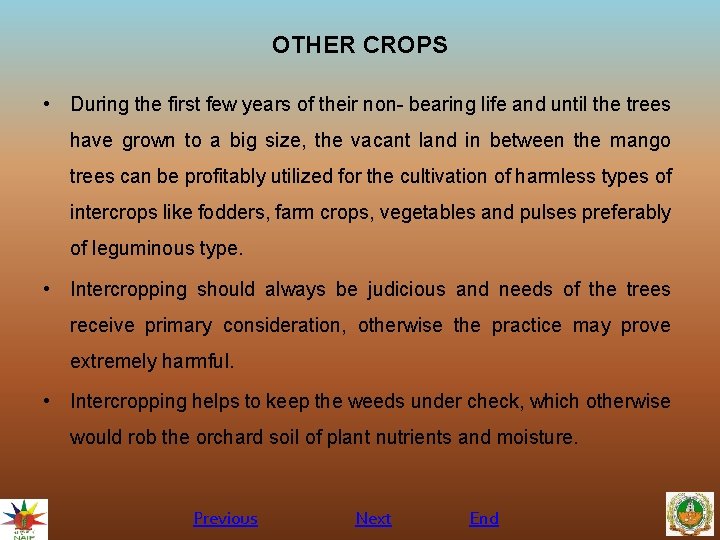 OTHER CROPS • During the first few years of their non- bearing life and