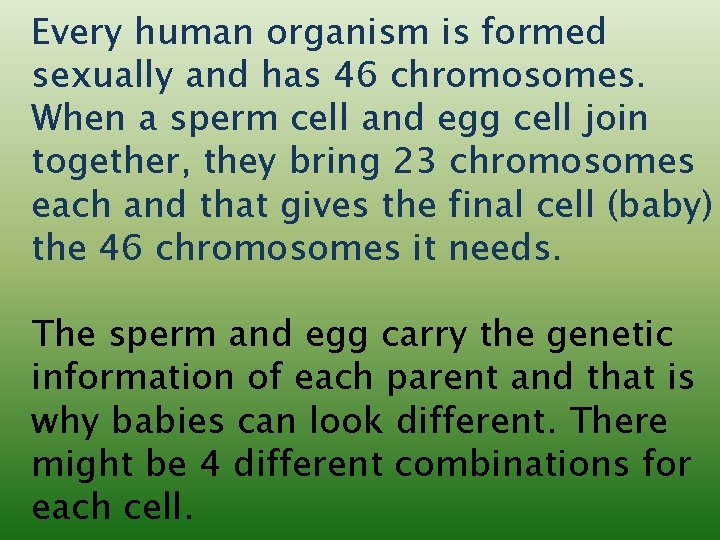 Every human organism is formed sexually and has 46 chromosomes. When a sperm cell