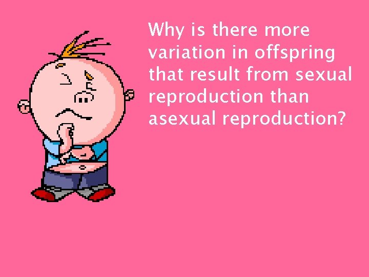Why is there more variation in offspring that result from sexual reproduction than asexual