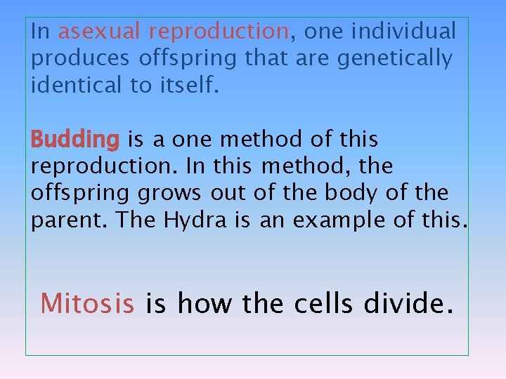 In asexual reproduction, one individual produces offspring that are genetically identical to itself. Budding