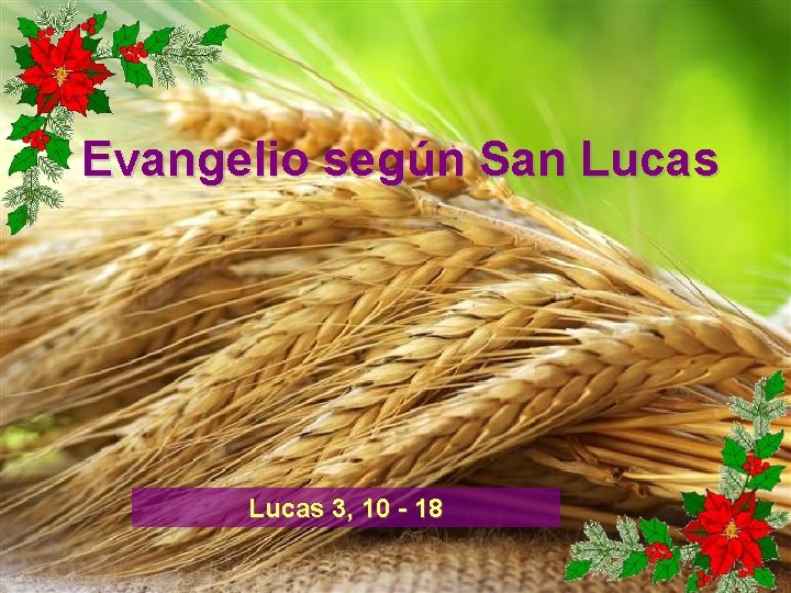 Evangelio según San Lucas 3, 10 - 18 