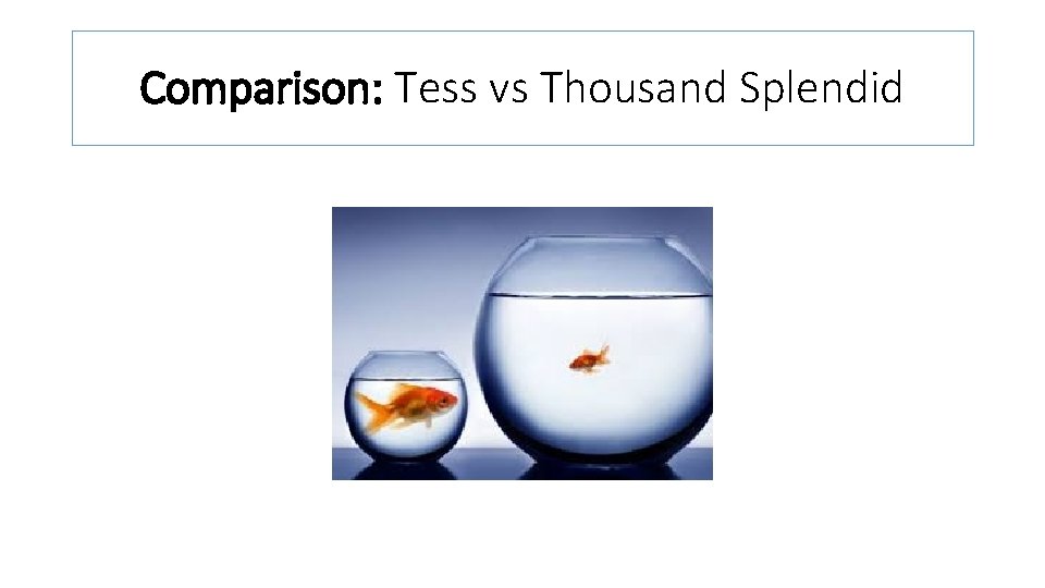 Comparison: Tess vs Thousand Splendid 