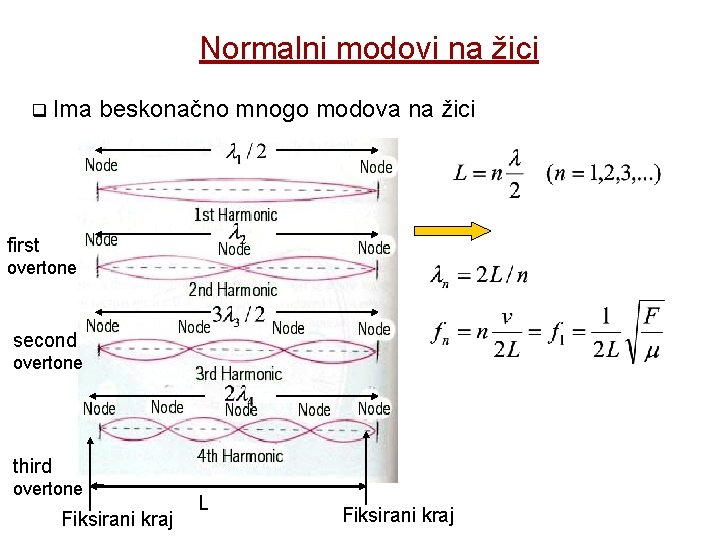 Normalni modovi na žici Ima beskonačno mnogo modova na žici first overtone second overtone