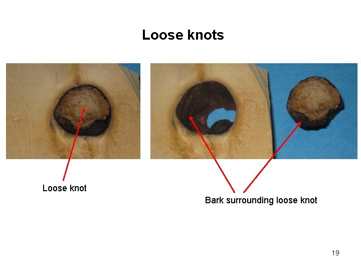 Loose knots Loose knot Bark surrounding loose knot 19 