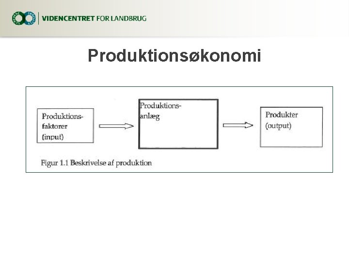 Produktionsøkonomi 