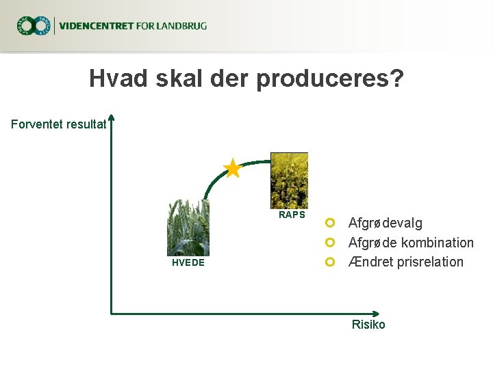 Hvad skal der produceres? Forventet resultat RAPS HVEDE Afgrødevalg Afgrøde kombination Ændret prisrelation Risiko