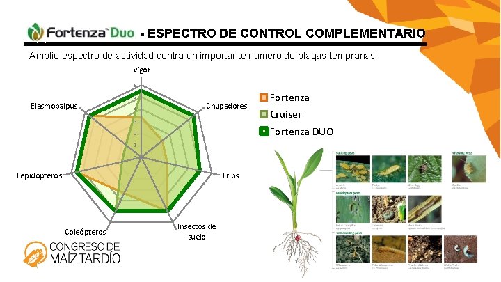 - ESPECTRO DE CONTROL COMPLEMENTARIO Amplio espectro de actividad contra un importante número de